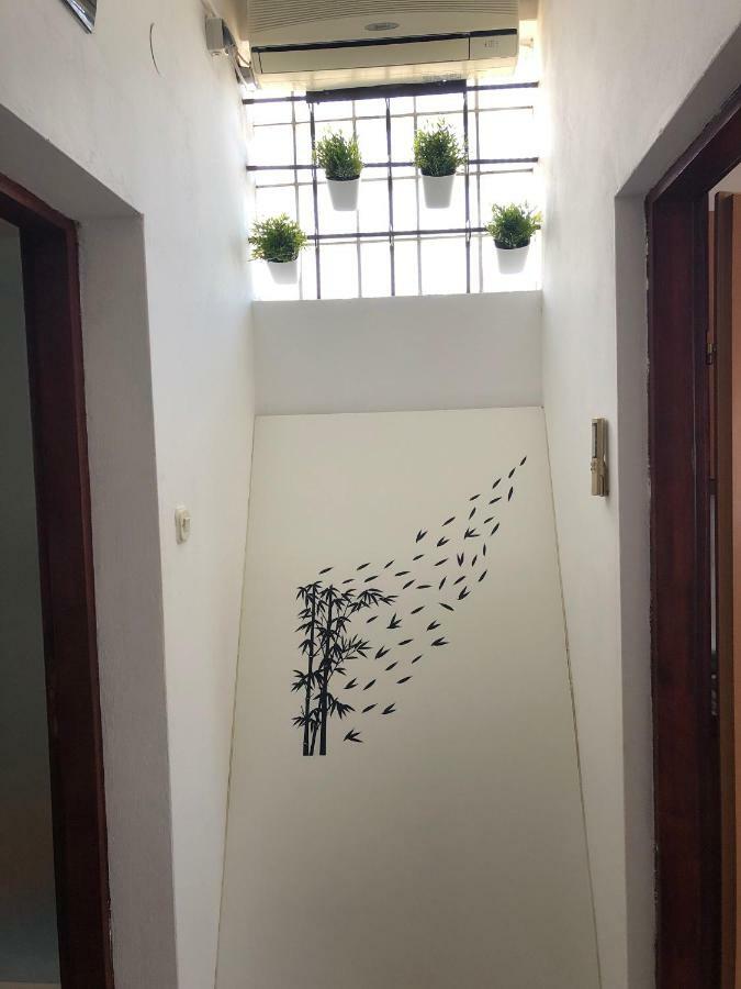 Andrija Apartment Krnica Bagian luar foto